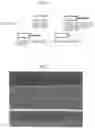 Fig. 06 - Cell transplant device and method of manufacturing the same