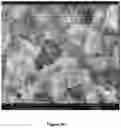 Fig. 04 - Supported zeolite films and methods for preparing