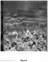 Fig. 11 - Supported zeolite films and methods for preparing