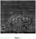 Fig. 13 - Supported zeolite films and methods for preparing