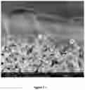 Fig. 17 - Supported zeolite films and methods for preparing