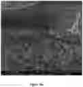 Fig. 18 - Supported zeolite films and methods for preparing