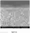 Fig. 20 - Supported zeolite films and methods for preparing