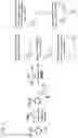 Fig. 02 - Immunosuppressive protein adsorption material and adsorption column