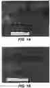 Fig. 02 - MONTMORILLONITE-BASED LIQUID CHROMATOGRAPHY COLUMN
