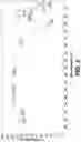 Fig. 03 - MONTMORILLONITE-BASED LIQUID CHROMATOGRAPHY COLUMN