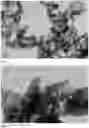 Fig. 04 - Method for the preparation of metal oxide hollow nanoparticles