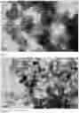 Fig. 05 - Method for the preparation of metal oxide hollow nanoparticles