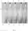 Fig. 04 - SINGLE UNIT ASSAY DEVICE, METHOD, AND ASSEMBLY