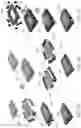 Fig. 10 - Planar modular microfluidic system