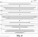 Fig. 05 - Microfluidic devices