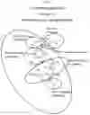 Fig. 02 - COMPOSITIONS AND METHODS FOR TREATING CANCER