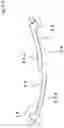 Fig. 12 - Electrical conduit, connection structure for electrical conduit, bell block, method for connecting electrical conduit, method for connecting electrical conduit and bell block, pipe coupling, ring member, double-wall electrical conduit, and connection structure and conduit line for double-wall electrical conduit