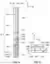 Fig. 09 - Wearable data display
