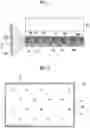 Fig. 02 - Planar lighting device and liquid crystal display device