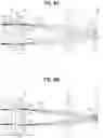 Fig. 09 - Lens array and lighting optical system