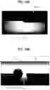 Fig. 22 - Lens array and lighting optical system