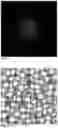 Fig. 16 - MICRO-OPTIC CELL DESIGN RANDOMLY POSITIONED LENSLETS AND STATISTICAL RECONSTRUCTION OF A MICRO-LENS ARRAY