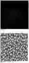 Fig. 20 - MICRO-OPTIC CELL DESIGN RANDOMLY POSITIONED LENSLETS AND STATISTICAL RECONSTRUCTION OF A MICRO-LENS ARRAY