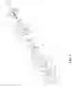 Fig. 04 - Step actuator