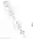 Fig. 05 - Step actuator