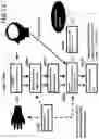 Fig. 20 - Pain classification and momentary-pain determination using sparse modeling