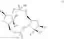 Fig. 04 - Cyclic dinucleotides as anticancer agents