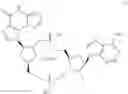 Fig. 113 - Cyclic dinucleotides as anticancer agents
