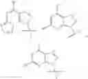 Fig. 12 - Cyclic dinucleotides as anticancer agents