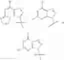 Fig. 137 - Cyclic dinucleotides as anticancer agents