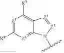 Fig. 15 - Cyclic dinucleotides as anticancer agents