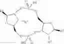 Fig. 57 - Cyclic dinucleotides as anticancer agents
