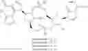 Fig. 99 - Cyclic dinucleotides as anticancer agents