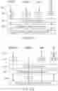 Fig. 23 - Synthetic peptide compounds and methods of use