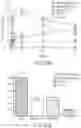 Fig. 25 - Synthetic peptide compounds and methods of use