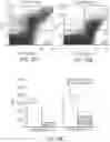 Fig. 27 - Synthetic peptide compounds and methods of use