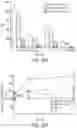 Fig. 30 - Synthetic peptide compounds and methods of use