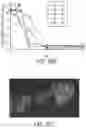 Fig. 46 - Synthetic peptide compounds and methods of use