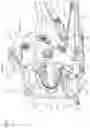 Fig. 06 - BRAKE PIPING STRUCTURE FOR SADDLED VEHICLES