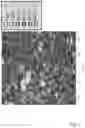 Fig. 10 - Target material for deposition of molybdenum oxide layers