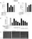 Fig. 06 - Compounds, compositions, and methods for the treatment of inflammatory, degenerative, and neurodegenerative diseases