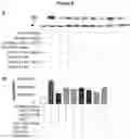 Fig. 07 - Compounds, compositions, and methods for the treatment of inflammatory, degenerative, and neurodegenerative diseases