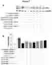 Fig. 08 - Compounds, compositions, and methods for the treatment of inflammatory, degenerative, and neurodegenerative diseases