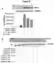 Fig. 10 - Compounds, compositions, and methods for the treatment of inflammatory, degenerative, and neurodegenerative diseases