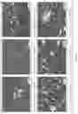 Fig. 53 - Crystal forms of (S)-4-(8-amino-3-(1-(but-2-ynoyl)pyrrolidin-2-yl)imidazo[1,5-a]pyrazin-1-yl)-N-(pyridin-2-yl)benzamide maleate