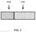 Fig. 02 - INSECTICIDAL COMBINATIONS