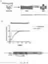 Fig. 02 - A Cell-Based Seeding Assay for Huntingtin Aggregation