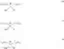 Fig. 193 - Transition metal bis(phenolate) complexes and their use as catalysts for olefin polymerization