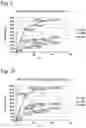Fig. 06 - DEGRADATION-PROMOTED POLYMER AND METHOD FOR MAKING THEREOF