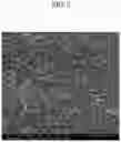 Fig. 03 - MANUFACTURING METHOD FOR POROUS THERMAL INSULATION COATING LAYER, POROUS THERMAL INSULATION COATING LAYER AND INTERNAL COMBUSTION ENGINE USING THE SAME
